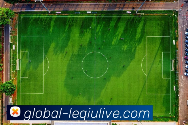 乐球直播平台生态图