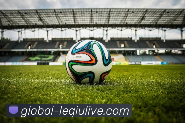 乐球直播APP 封面图