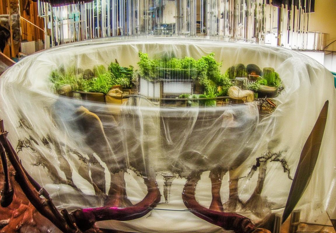 芬兰VS列支敦士登：足球赛前瞻与战术分析(图2)